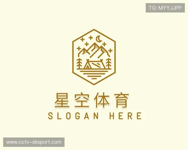 发现星空体育公司